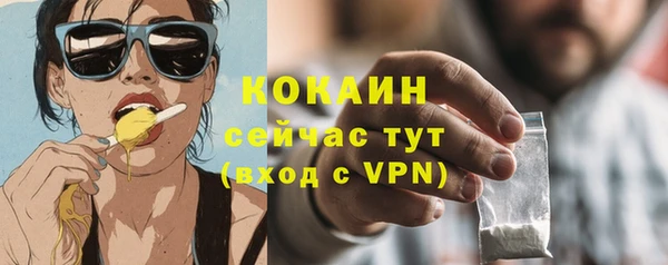 сатива Армянск