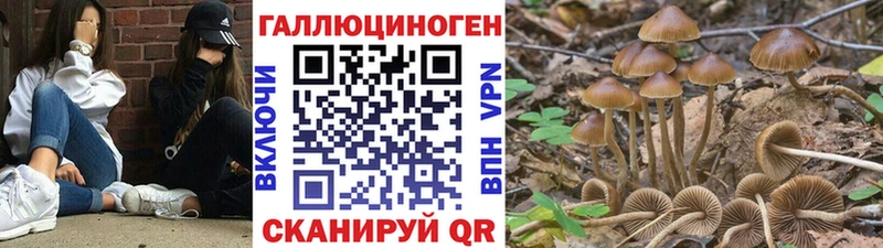 Галлюциногенные грибы прущие грибы  где продают   Лукоянов 